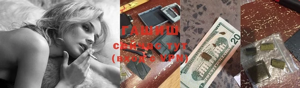 дживик Новозыбков