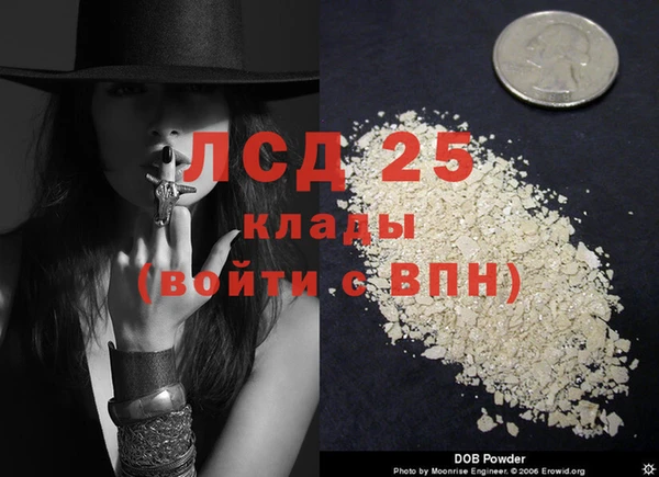 прущие грибы Новокубанск