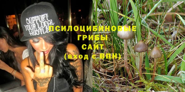 экстази Нязепетровск