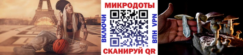 Псилоцибиновые грибы Psilocybe  Прокопьевск 