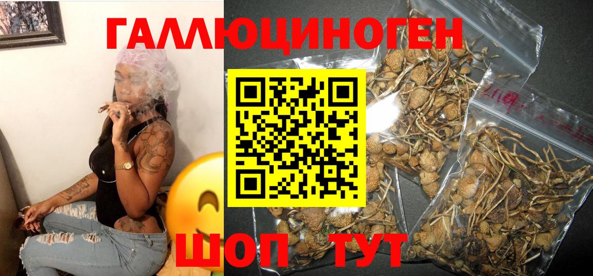 Псилоцибиновые грибы GOLDEN TEACHER  Вход с VPN  Прокопьевск 